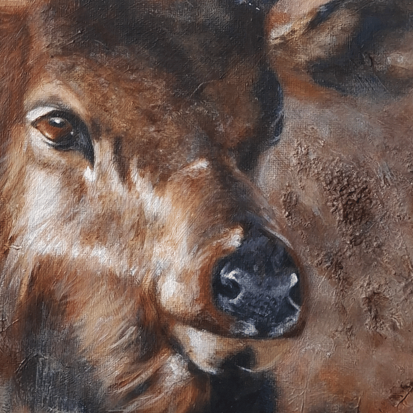 Close-up oil painting of a brown cow's face, showing detailed brushstrokes, a dark nose, and warm brown and beige tones.